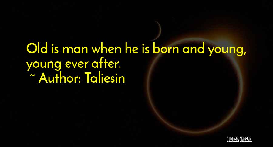 Taliesin Quotes 1309693
