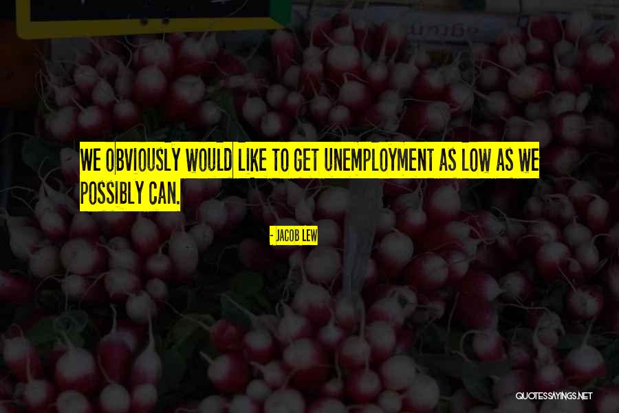 Talingual Quotes By Jacob Lew Talingual Quotes By Jacob Lew