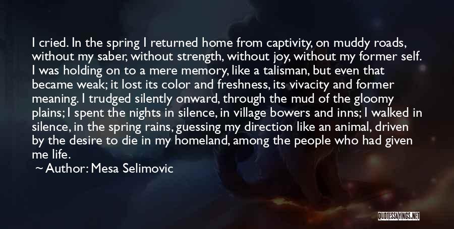 Talisman Quotes By Mesa Selimovic