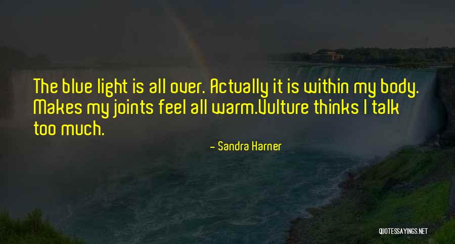 Talk Much Quotes By Sandra Harner