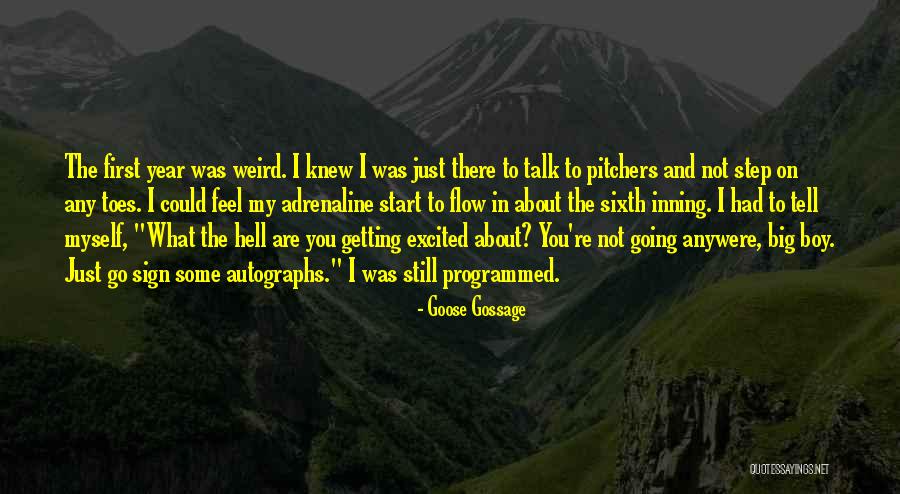 Talk To Myself Quotes By Goose Gossage Talk To Myself Quotes By Goose Gossage