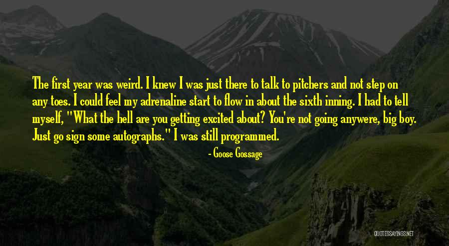 Talk To Myself Quotes By Goose Gossage