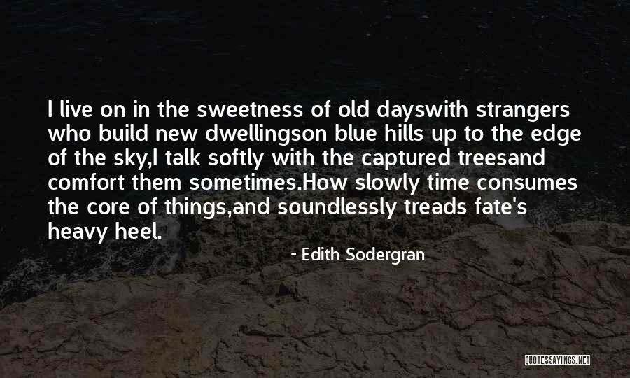 Talk To Strangers Quotes By Edith Sodergran