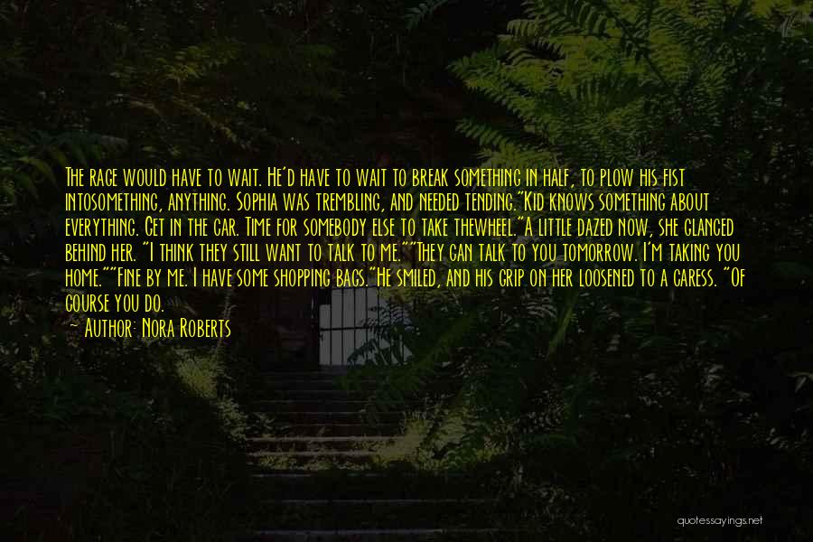 Talk To You Tomorrow Quotes By Nora Roberts