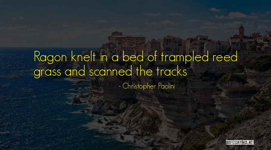 Talk You Down The Script Quotes By Christopher Paolini Talk You Down The Script Quotes By Christopher Paolini
