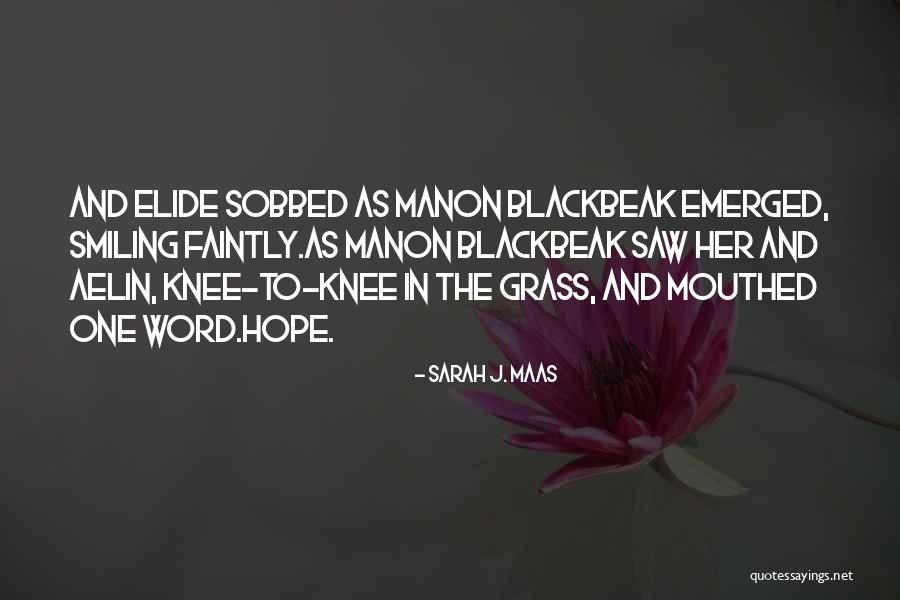 Talk You Down The Script Quotes By Sarah J. Maas Talk You Down The Script Quotes By Sarah J. Maas