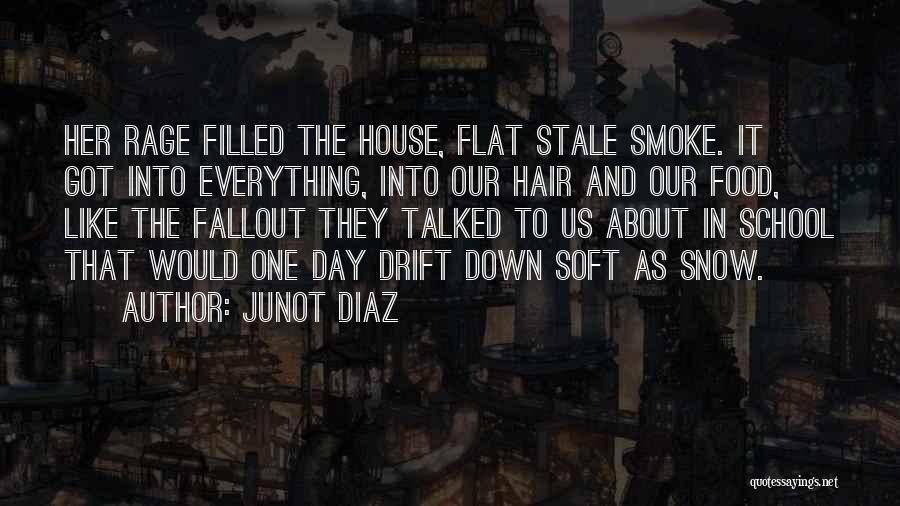 Talked Down To Quotes By Junot Diaz