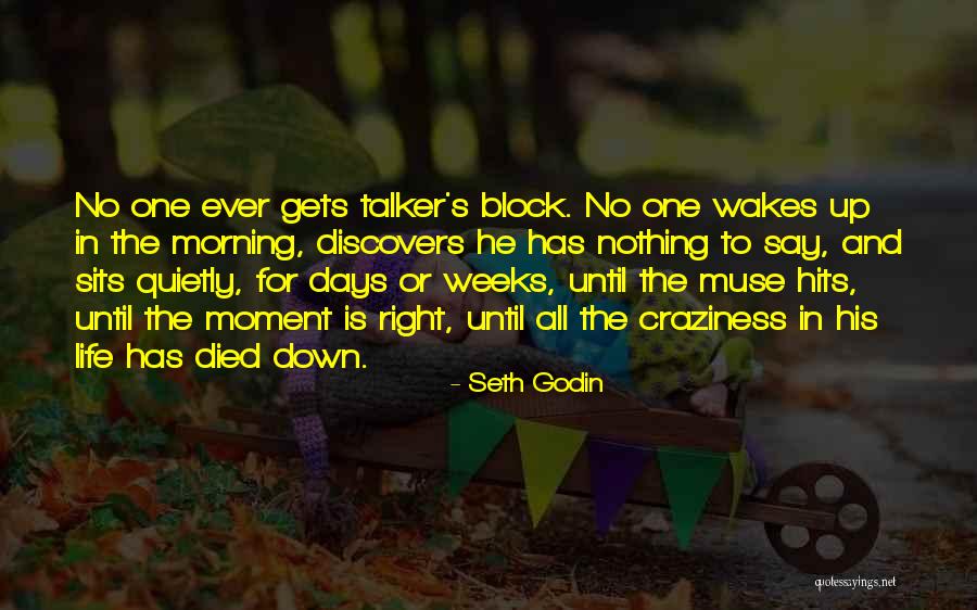 Talker Quotes By Seth Godin