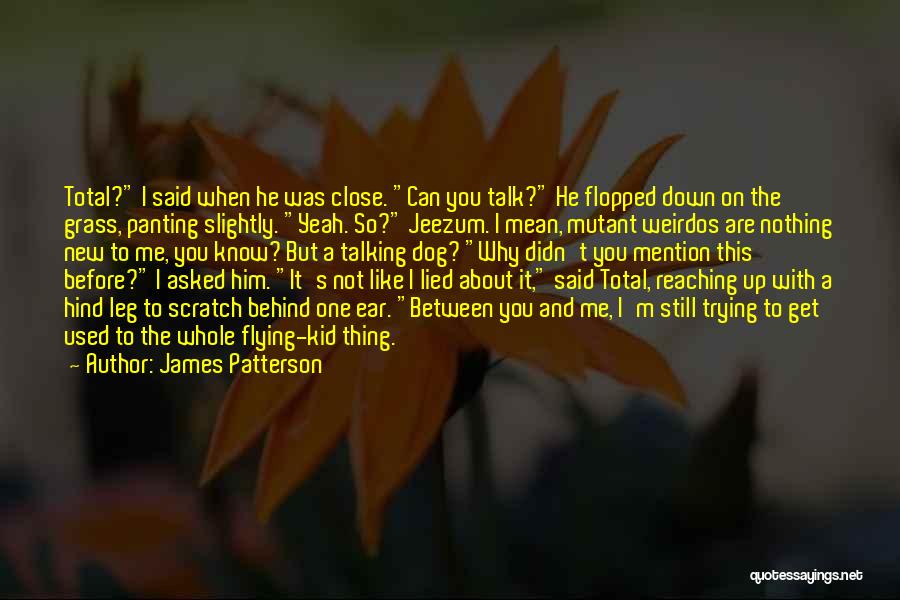 Talking Behind Me Quotes By James Patterson