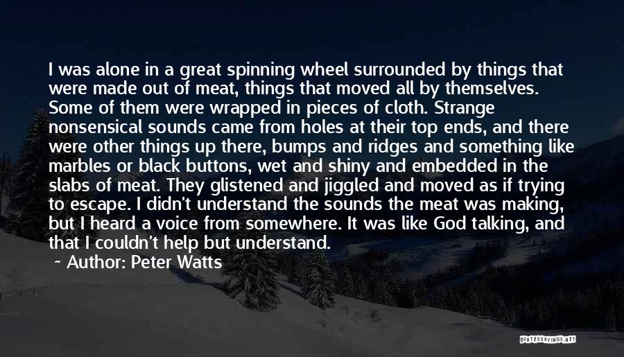 Talking To God Quotes By Peter Watts