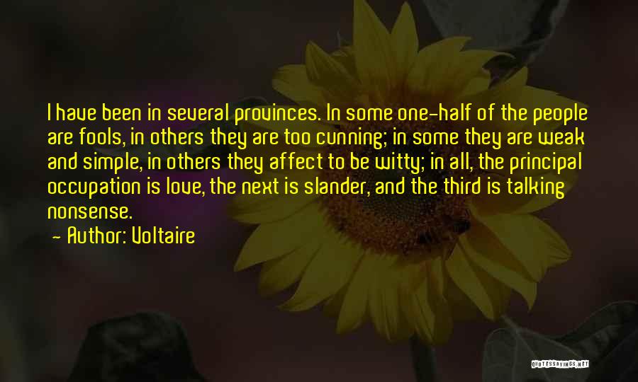 Talking To Others Quotes By Voltaire