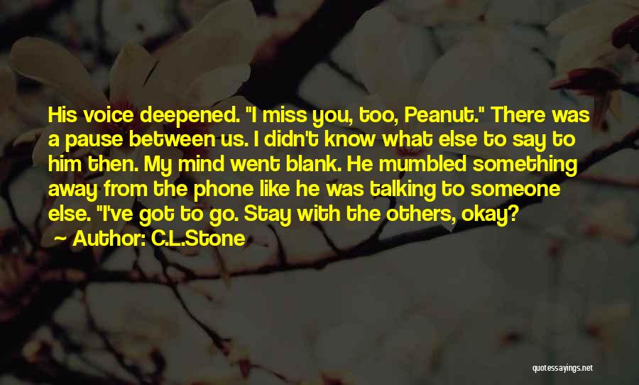 Talking To Someone Else Quotes By C.L.Stone