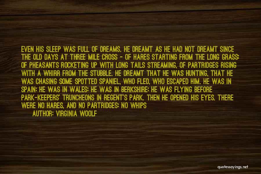 Talking To Someone You Miss Quotes By Virginia Woolf Talking To Someone You Miss Quotes By Virginia Woolf