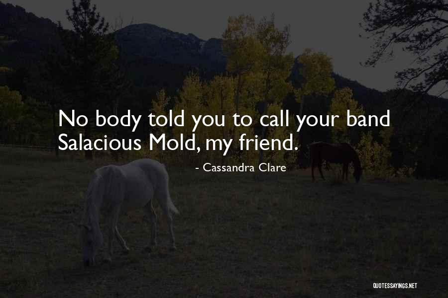 Talking To Your Friend Quotes By Cassandra Clare