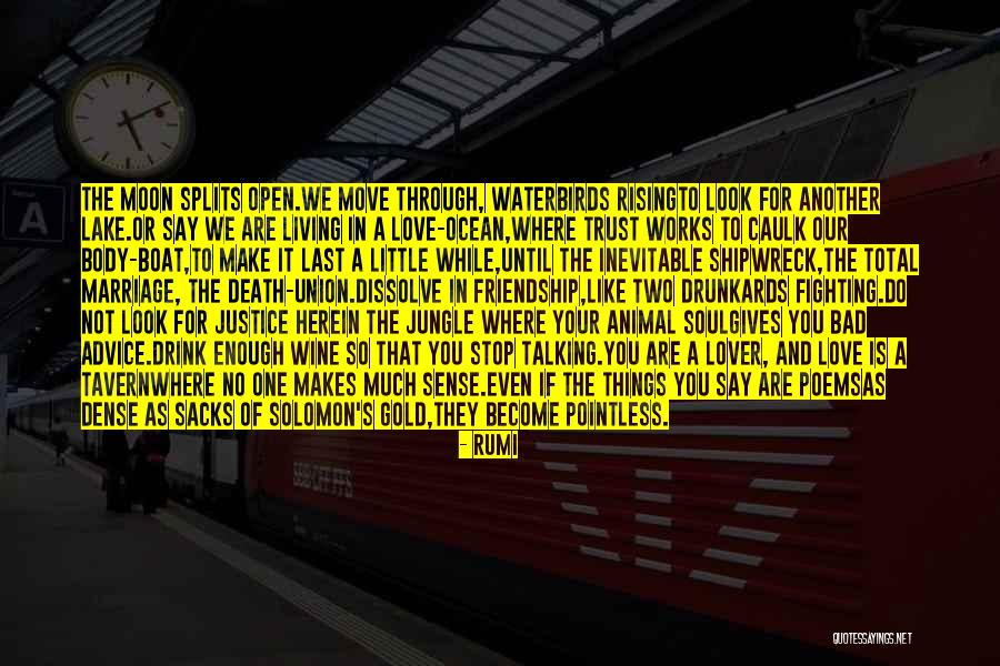 Talking To Your Love Quotes By Rumi Talking To Your Love Quotes By Rumi