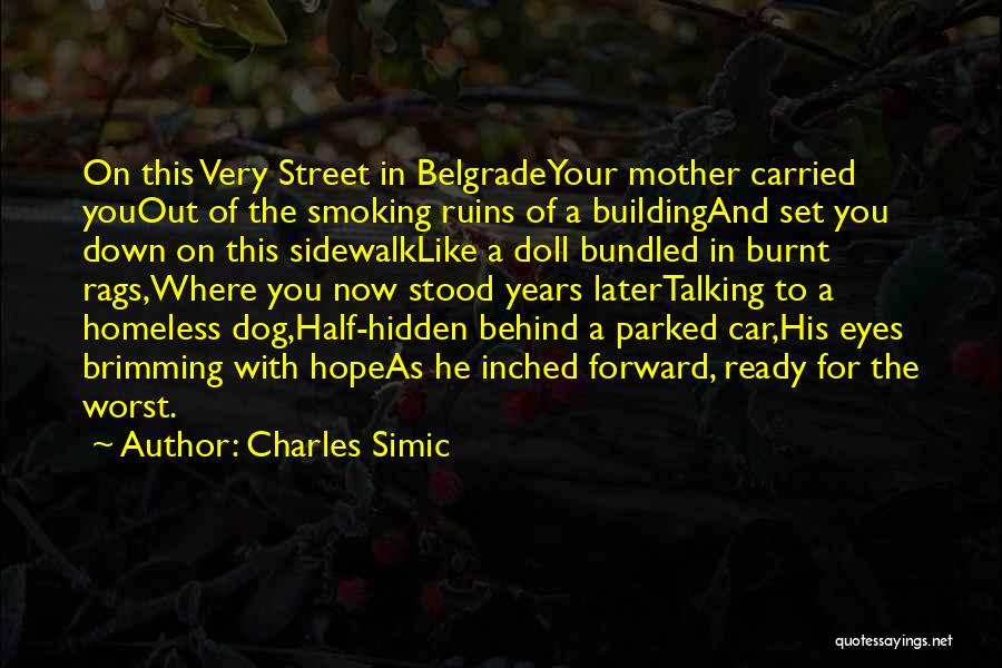 Talking To Your Mother Quotes By Charles Simic