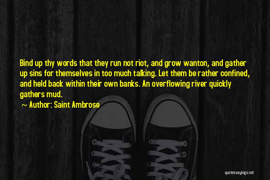 Talking Too Much Quotes By Saint Ambrose