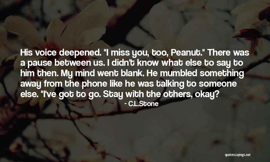 Talking With Someone You Like Quotes By C.L.Stone