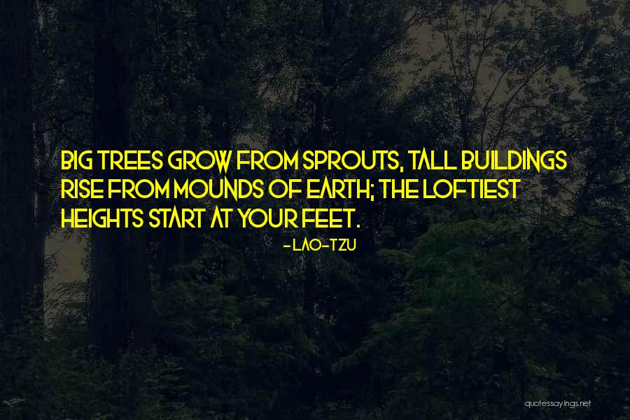 Tall Buildings Quotes By Lao-Tzu Tall Buildings Quotes By Lao-Tzu