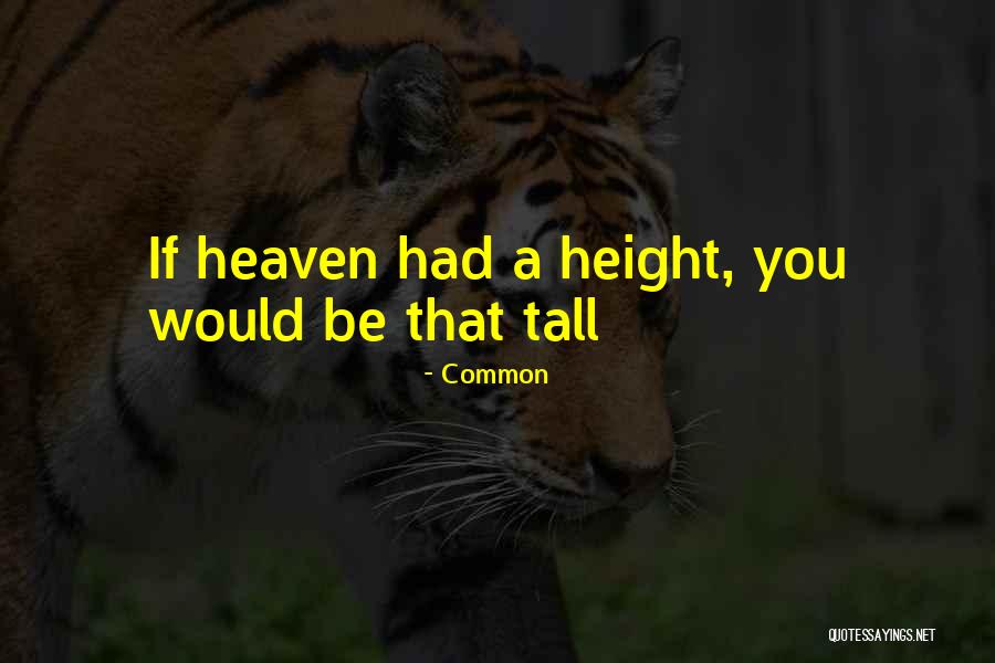 Tall Height Quotes By Common Tall Height Quotes By Common