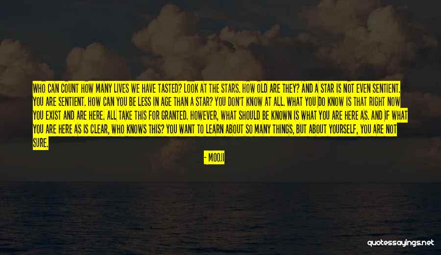 Tall Ship Quotes By Mooji Tall Ship Quotes By Mooji