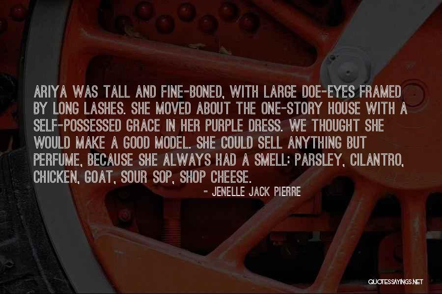 Tall Story Quotes By Jenelle Jack Pierre