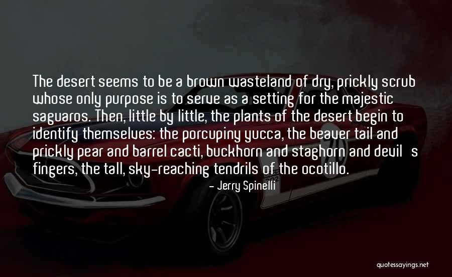Tall Tail Quotes By Jerry Spinelli Tall Tail Quotes By Jerry Spinelli