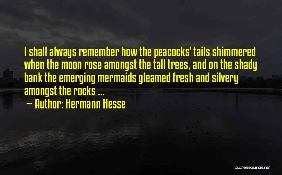 Tall Trees Quotes By Hermann Hesse