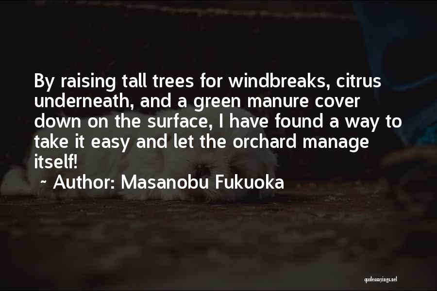 Tall Trees Quotes By Masanobu Fukuoka