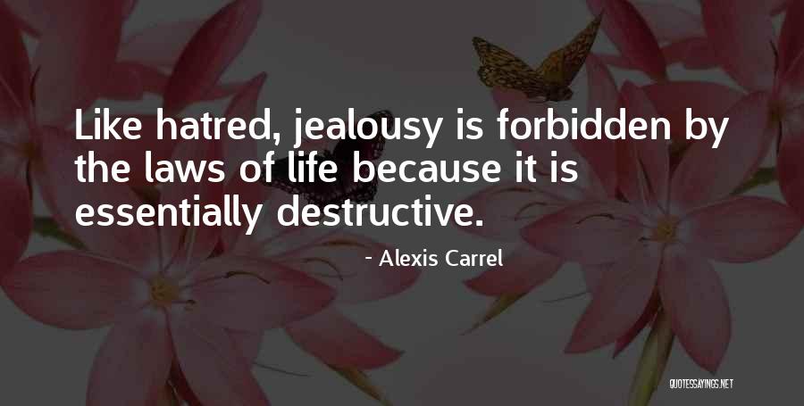 Talledo Family Quotes By Alexis Carrel Talledo Family Quotes By Alexis Carrel