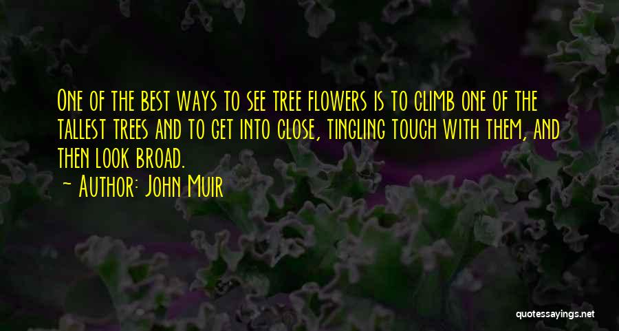 Tallest Quotes By John Muir