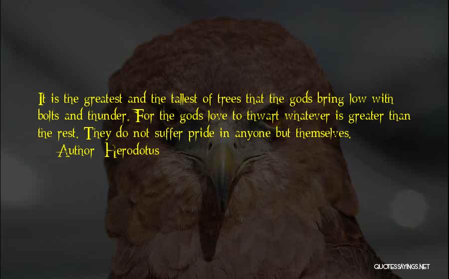 Tallest Trees Quotes By Herodotus