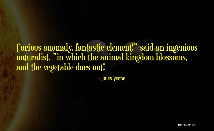 Tallulah Willis Quotes By Jules Verne Tallulah Willis Quotes By Jules Verne