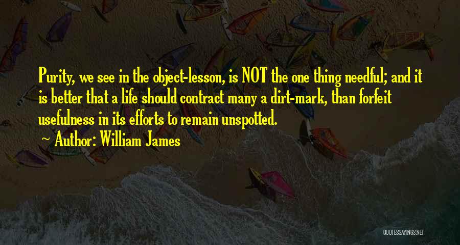 Tallulahs Bayshore Quotes By William James