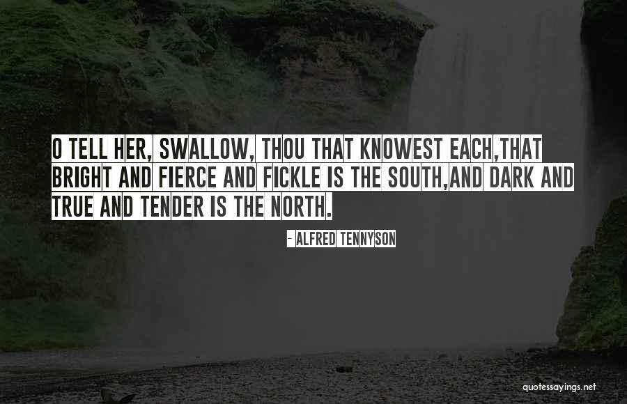 Tallywhacker Porkys Quotes By Alfred Tennyson Tallywhacker Porkys Quotes By Alfred Tennyson