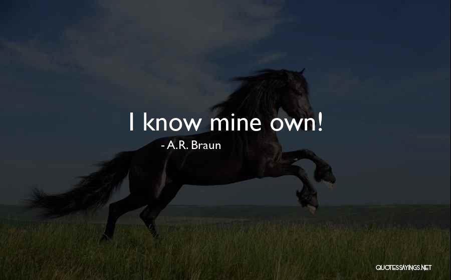 Talmont Estates Quotes By A.R. Braun Talmont Estates Quotes By A.R. Braun