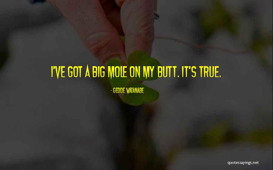 Talreja Enterprises Quotes By Gedde Watanabe Talreja Enterprises Quotes By Gedde Watanabe