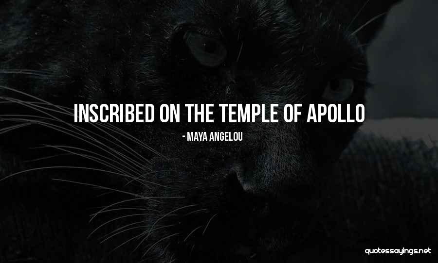 Talyta Batista Quotes By Maya Angelou Talyta Batista Quotes By Maya Angelou