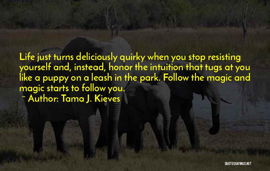 Tama J. Kieves Quotes 1230955