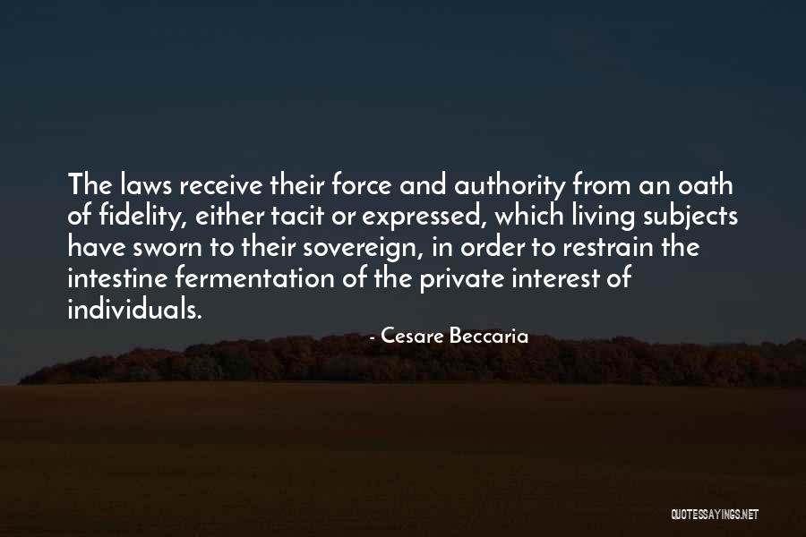 Tama O Promedio Quotes By Cesare Beccaria Tama O Promedio Quotes By Cesare Beccaria