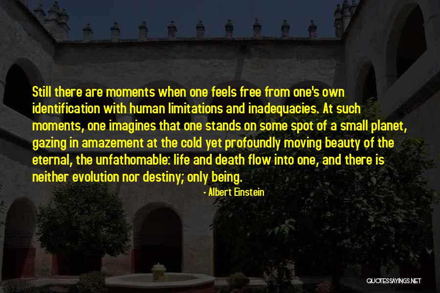 Tamad Patama Quotes By Albert Einstein Tamad Patama Quotes By Albert Einstein