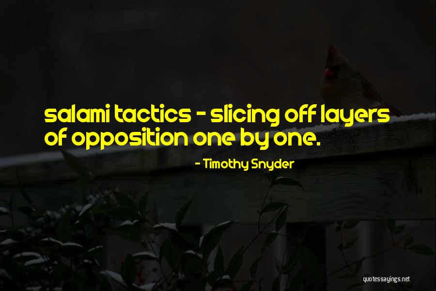 Tamadera Quotes By Timothy Snyder Tamadera Quotes By Timothy Snyder