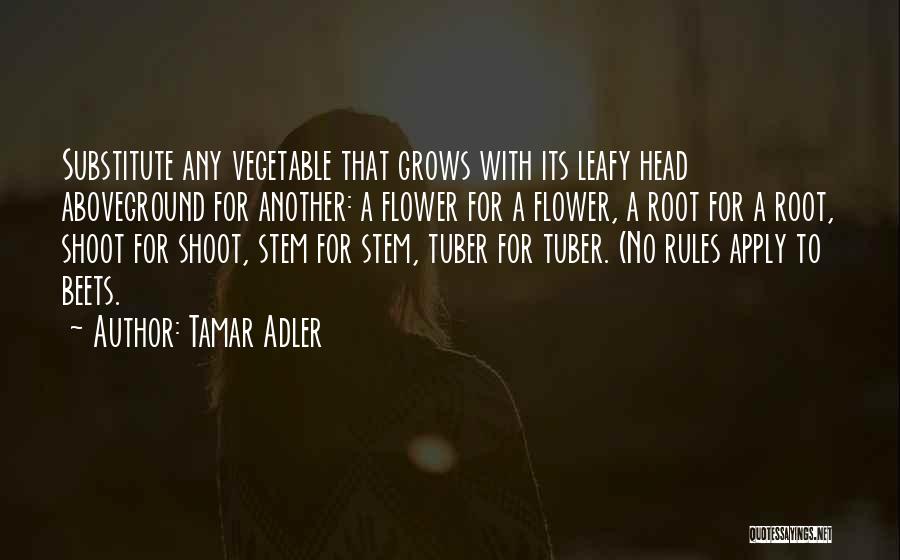 Tamar Adler Quotes 1048072