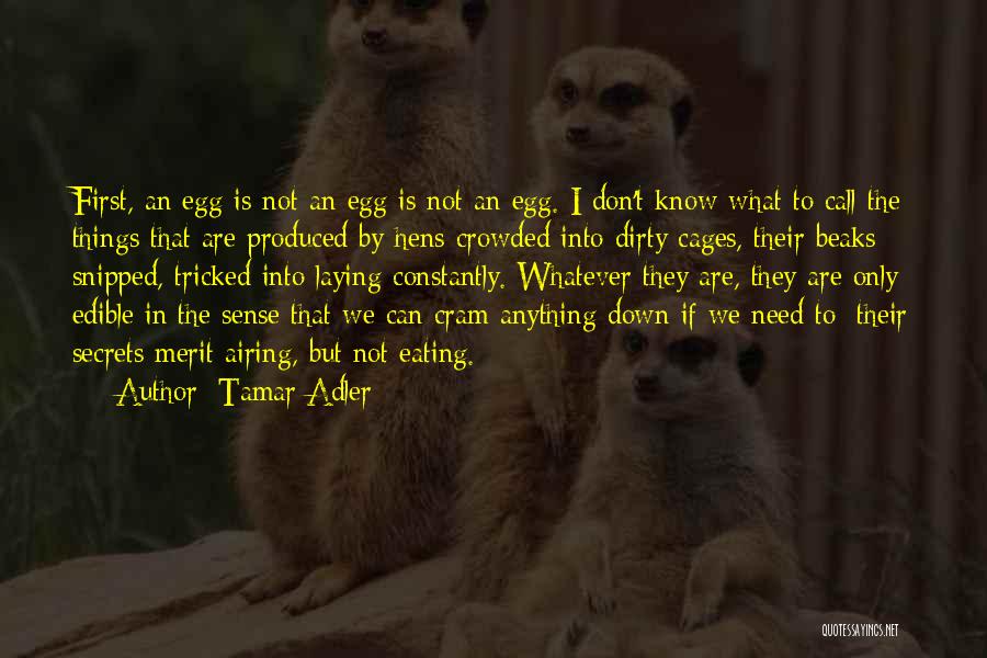 Tamar Adler Quotes 1975673