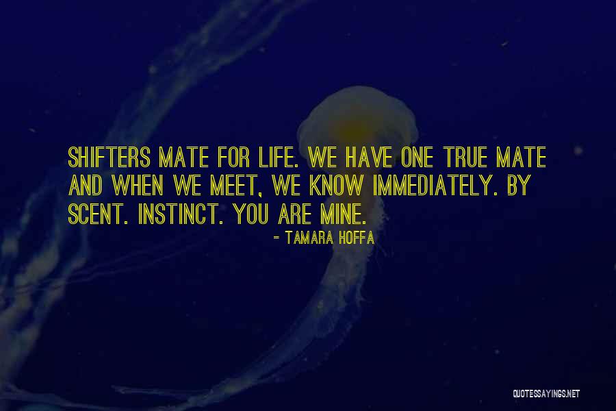 Tamara Hoffa Quotes 973331 Tamara Hoffa Quotes 973331