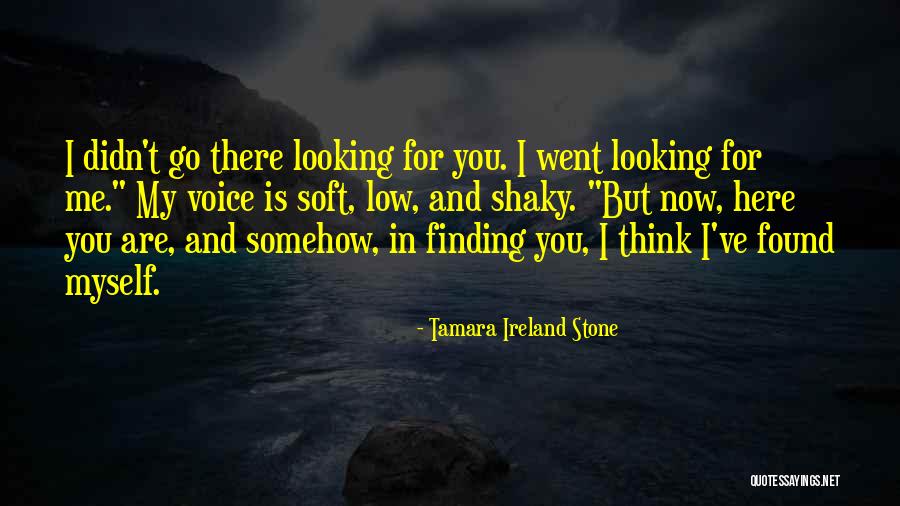 Tamara Ireland Stone Quotes 1279791