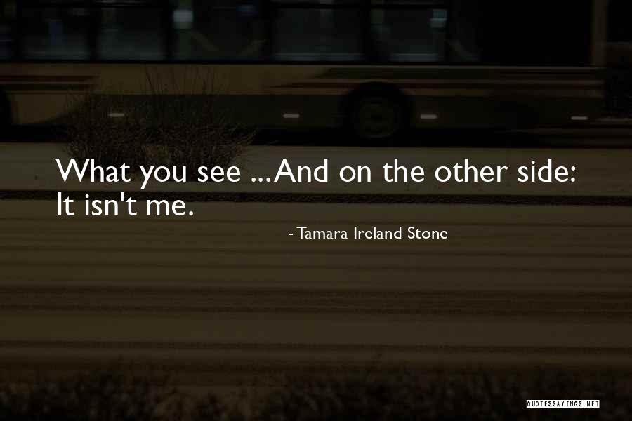 Tamara Ireland Stone Quotes 261772