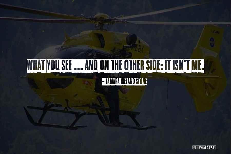 Tamara Quotes By Tamara Ireland Stone