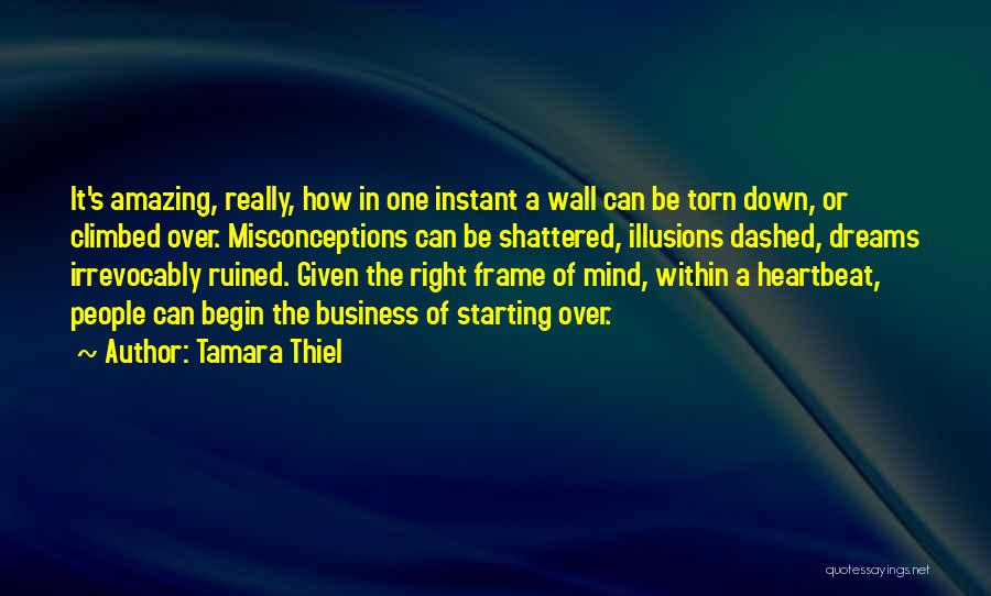 Tamara Thiel Quotes 1079197