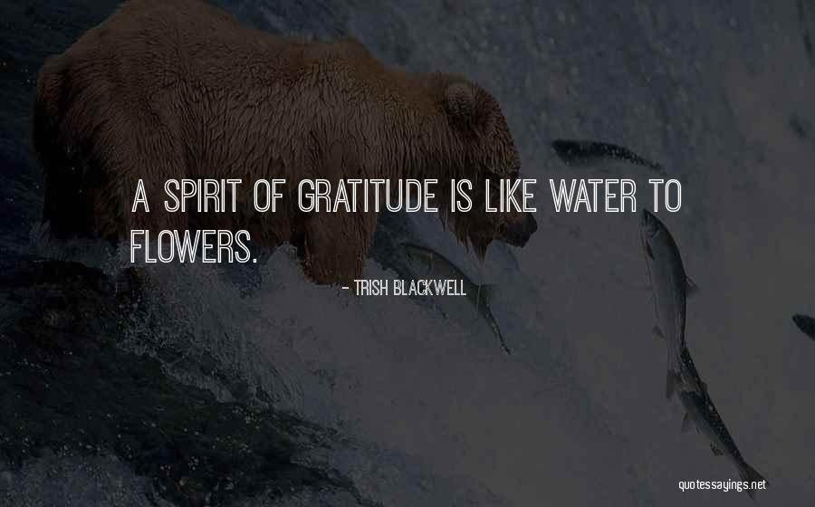Tamayo Denver Quotes By Trish Blackwell Tamayo Denver Quotes By Trish Blackwell